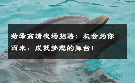 菏泽高端夜场招聘：机会为你而来，成就梦想的舞台！