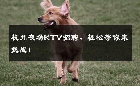 杭州夜场KTV招聘，轻松等你来挑战！