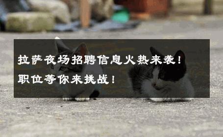 拉萨夜场招聘信息火热来袭！职位等你来挑战！