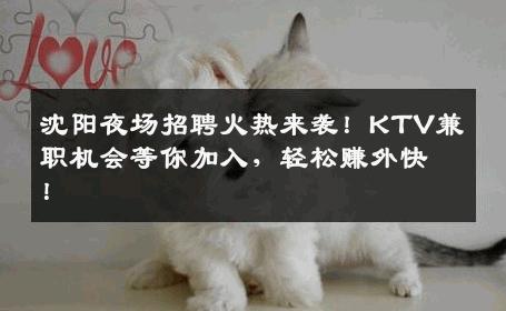 沈阳夜场招聘火热来袭！KTV兼职机会等你加入，轻松赚外快！