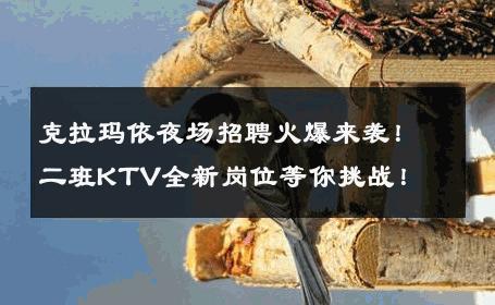 克拉玛依夜场招聘火爆来袭！二班KTV全新岗位等你挑战！