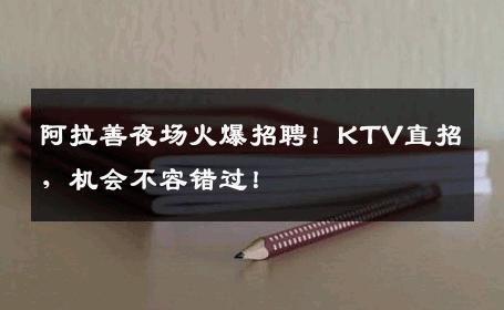 阿拉善夜场火爆招聘！KTV直招，机会不容错过！