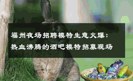 福州夜场招聘模特生意火爆：热血沸腾的酒吧模特招募现场
