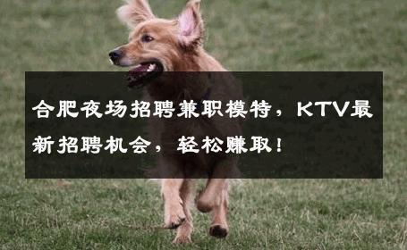 合肥夜场招聘兼职模特，KTV最新招聘机会，轻松赚取！