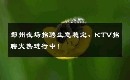 郑州夜场招聘生意稳定，KTV招聘火热进行中！