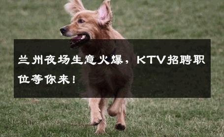 兰州夜场生意火爆，KTV招聘职位等你来！