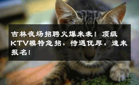 吉林夜场招聘火爆来袭！顶级KTV模特急招，待遇优厚，速来报名！