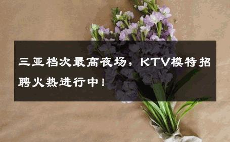 三亚档次最高夜场，KTV模特招聘火热进行中！