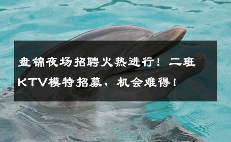 盘锦夜场招聘火热进行！二班KTV模特招募，机会难得！