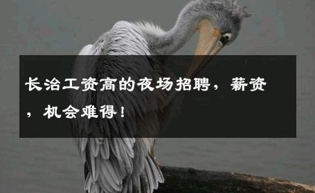 长治工资高的夜场招聘，薪资，机会难得！