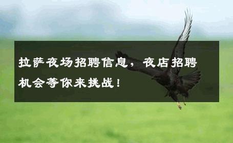 拉萨夜场招聘信息，夜店招聘机会等你来挑战！