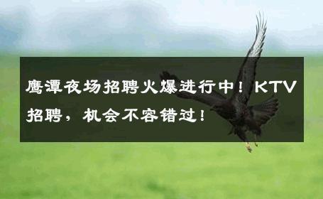 鹰潭夜场招聘火爆进行中！KTV招聘，机会不容错过！