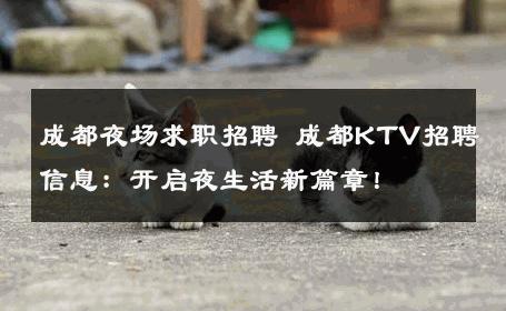 成都夜场求职招聘 成都KTV招聘信息：开启夜生活新篇章！