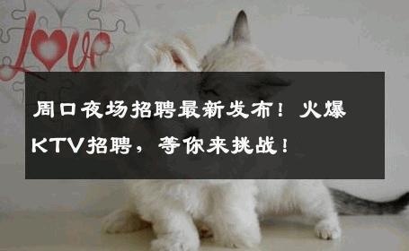 周口夜场招聘最新发布！火爆KTV招聘，等你来挑战！