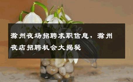 滁州夜场招聘求职信息，滁州夜店招聘机会大揭秘