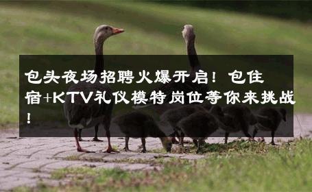 包头夜场招聘火爆开启！包住宿+KTV礼仪模特岗位等你来挑战！