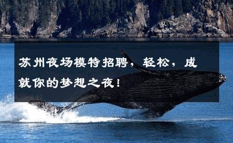 苏州夜场模特招聘，轻松，成就你的梦想之夜！