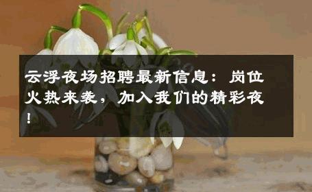 云浮夜场招聘最新信息：岗位火热来袭，加入我们的精彩夜！