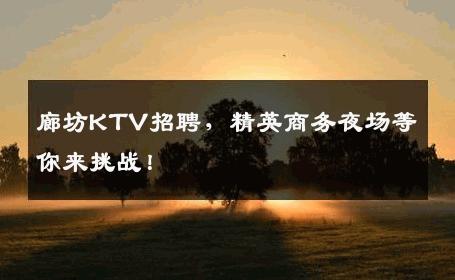 廊坊KTV招聘，精英商务夜场等你来挑战！