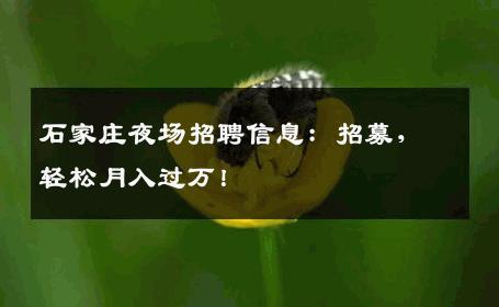石家庄夜场招聘信息：招募，轻松月入过万！