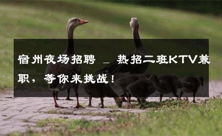 宿州夜场招聘 _ 热招二班KTV兼职，等你来挑战！