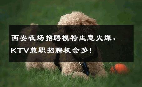 西安夜场招聘模特生意火爆，KTV兼职招聘机会多！