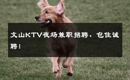 文山KTV夜场兼职招聘，包住诚聘！
