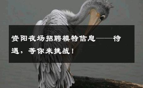 资阳夜场招聘模特信息——待遇，等你来挑战！