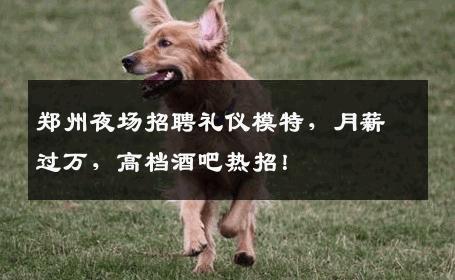 郑州夜场招聘礼仪模特，月薪过万，高档酒吧热招！