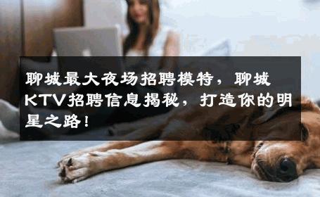 聊城最大夜场招聘模特，聊城KTV招聘信息揭秘，打造你的明星之路！