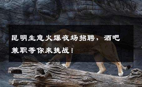 昆明生意火爆夜场招聘，酒吧兼职等你来挑战！