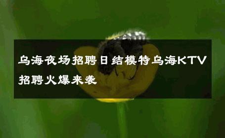乌海夜场招聘日结模特乌海KTV招聘火爆来袭