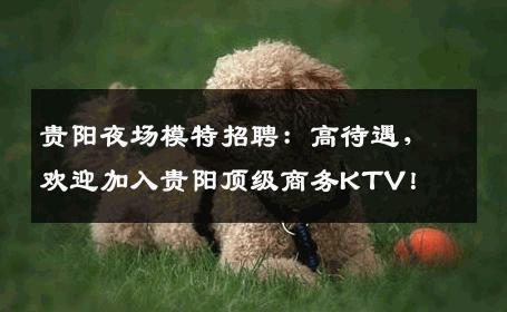 贵阳夜场模特招聘：高待遇，欢迎加入贵阳顶级商务KTV！