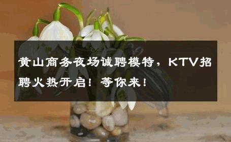 黄山商务夜场诚聘模特，KTV招聘火热开启！等你来！