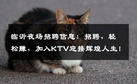 临沂夜场招聘信息：招聘，轻松赚，加入KTV迎接辉煌人生！