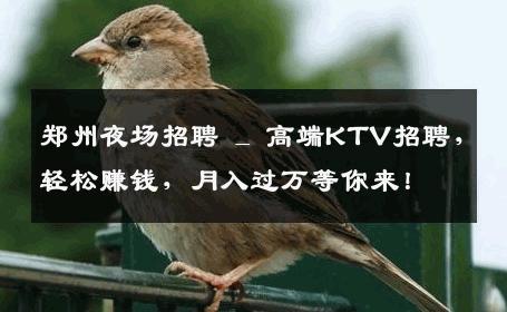 郑州夜场招聘 _ 高端KTV招聘，轻松赚钱，月入过万等你来！
