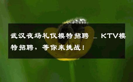 武汉夜场礼仪模特招聘 _ KTV模特招聘，等你来挑战！