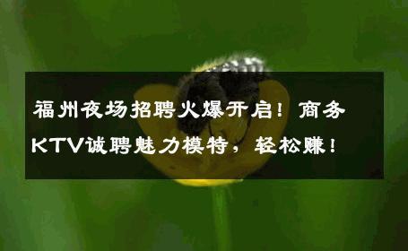 福州夜场招聘火爆开启！商务KTV诚聘魅力模特，轻松赚！