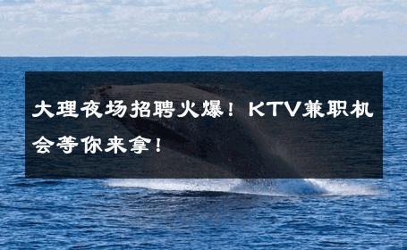 大理夜场招聘火爆！KTV兼职机会等你来拿！