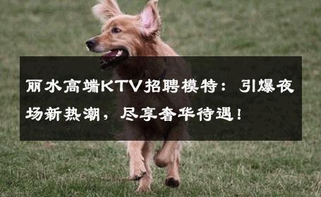 丽水高端KTV招聘模特：引爆夜场新热潮，尽享奢华待遇！