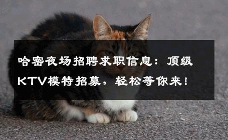哈密夜场招聘求职信息：顶级KTV模特招募，轻松等你来！