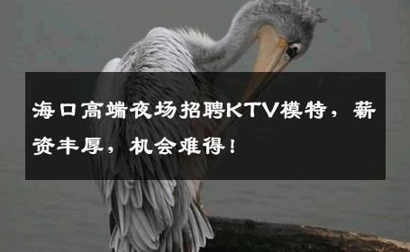 海口高端夜场招聘KTV模特，薪资丰厚，机会难得！