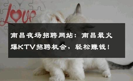 南昌夜场招聘网站：南昌最火爆KTV招聘机会，轻松赚钱！