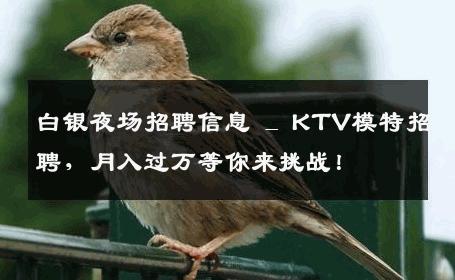 白银夜场招聘信息 _ KTV模特招聘，月入过万等你来挑战！