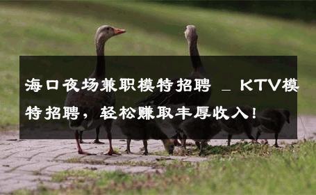 海口夜场兼职模特招聘 _ KTV模特招聘，轻松赚取丰厚收入！