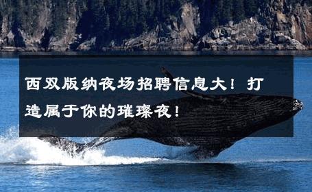 西双版纳夜场招聘信息大！打造属于你的璀璨夜！