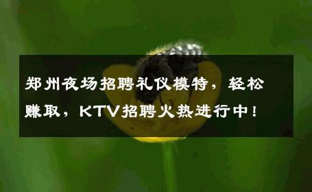 郑州夜场招聘礼仪模特，轻松赚取，KTV招聘火热进行中！