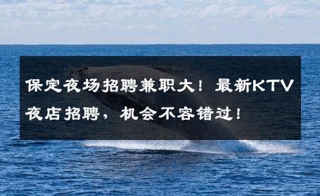 保定夜场招聘兼职大！最新KTV夜店招聘，机会不容错过！