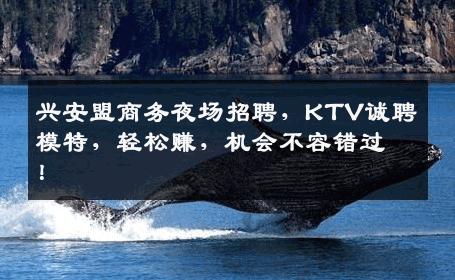 兴安盟商务夜场招聘，KTV诚聘模特，轻松赚，机会不容错过！