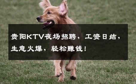 贵阳KTV夜场招聘，工资日结，生意火爆，轻松赚钱！